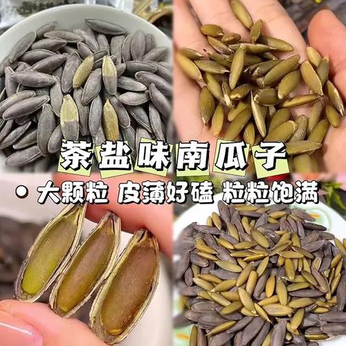 工厂直发大颗粒茶香味美人甲南瓜子年货坚果炒货批发休闲零食瓜子